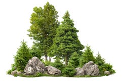 Cutout rock surrounded by pine trees