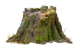 Free Cutout Tree Stump. Mossy Trunk Stock Image - 160380821
