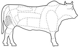 Cuts of beef illustration
