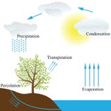 Cycle de l'eau en nature illustration libre de droits Cycle de l'eau en nature illustration libre de droits