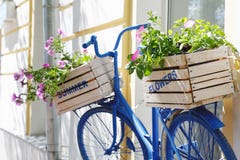 cykeln blommar gammalt Arkivbild cykeln blommar gammalt Arkivbild