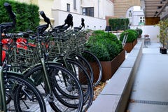 Cykelparkering för turister nära hotellet royaltyfria foton Cykelparkering för turister nära hotellet royaltyfria foton