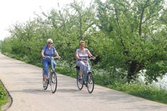 Cykla dikar pensionärer på den berömda Apple, Betuwe, NL royaltyfria bilder Cykla dikar pensionärer på den berömda Apple, Betuwe, NL royaltyfria bilder