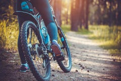 Cyklistridningmountainbike i skogen arkivbilder Cyklistridningmountainbike i skogen arkivbilder