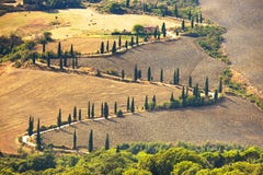 Cyprysowego drzewa sceniczna droga w Pienza blisko Siena, Tuscany, Włochy. obrazy royalty free Cyprysowego drzewa sceniczna droga w Pienza blisko Siena, Tuscany, Włochy. obrazy royalty free