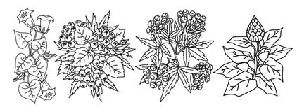 Czarny i biały z ulistnieniem i kwiatami royalty ilustracja Czarny i biały z ulistnieniem i kwiatami royalty ilustracja