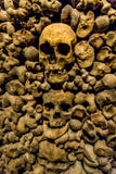 Czaszki i kości od charnel domu obrazy stock Czaszki i kości od charnel domu obrazy stock
