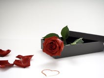 Czerwone róże z prezenta pudełkiem na Valentine&-x27; s dzień obrazy stock Czerwone róże z prezenta pudełkiem na Valentine&-x27; s dzień obrazy stock