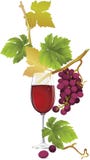 czerwone wino ilustracja wektor czerwone wino ilustracja wektor