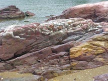 Czerwoni i Żółci piaskowowie na plaży obraz stock Czerwoni i Żółci piaskowowie na plaży obraz stock