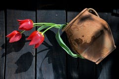 Czerwoni tulipany w antycznym glinianym garnku zdjęcie stock Czerwoni tulipany w antycznym glinianym garnku zdjęcie stock