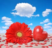 Czerwony serce z gerbera kwiatem na drewnianej desce Zdjęcie Stock Czerwony serce z gerbera kwiatem na drewnianej desce Zdjęcie Stock
