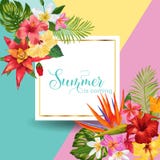 Cześć lato zwrotnika projekt Tropikalny Hibiskus Kwitnie tło dla plakata, sprzedaż sztandar, plakat, ulotka Kwiecisty rocznik ilustracji Cześć lato zwrotnika projekt Tropikalny Hibiskus Kwitnie tło dla plakata, sprzedaż sztandar, plakat, ulotka Kwiecisty rocznik ilustracji