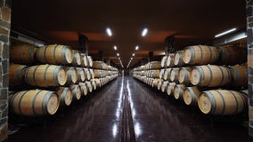 Cámara acorazada de la bodega almacen de metraje de vídeo Cámara acorazada de la bodega almacen de metraje de vídeo