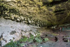 A câmara dentro do comerciante cava, parque nacional de Niah, Sarawak, miliampère imagens de stock A câmara dentro do comerciante cava, parque nacional de Niah, Sarawak, miliampère imagens de stock