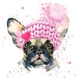 Cão bonito Ilustração do cão de cachorrinho da aquarela ilustração royalty free Cão bonito Ilustração do cão de cachorrinho da aquarela ilustração royalty free