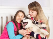 Cão da família e do cão de puxar trenós Siberian Imagens de Stock Cão da família e do cão de puxar trenós Siberian Imagens de Stock