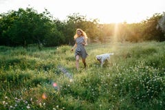 Cão de passeio da menina no parque imagens de stock Cão de passeio da menina no parque imagens de stock