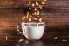 Céréales dans la tasse de lait photographie stock Céréales dans la tasse de lait photographie stock