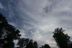 Céu azul do dia com folha das partes superiores da árvore que olham acima foto de stock Céu azul do dia com folha das partes superiores da árvore que olham acima foto de stock