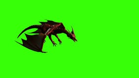 3d animation of Dragon in fly