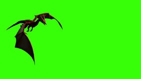 3d animation of Dragon in fly