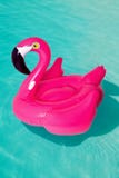 3d flamingo cor-de-rosa, anel inflável da piscina da forma tropical do pássaro, tubo, flutuador Objeto de borracha do feriado das foto de stock 3d flamingo cor-de-rosa, anel inflável da piscina da forma tropical do pássaro, tubo, flutuador Objeto de borracha do feriado das foto de stock