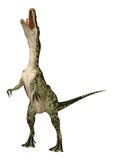 3D het Teruggeven Dinosaurus Monolophosaurus op Wit royalty-vrije illustratie 3D het Teruggeven Dinosaurus Monolophosaurus op Wit royalty-vrije illustratie