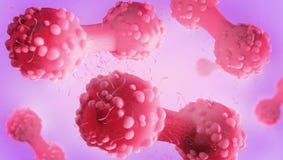 Cancer cell in the process of cytokinesis royalty free stock photo Cancer cell in the process of cytokinesis royalty free stock photo