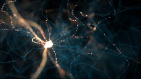 Electrical Neuron Splitting Single Multiple Neurology Concept Pulsing Stock  Video Footage by ©bobbigmac #350862580