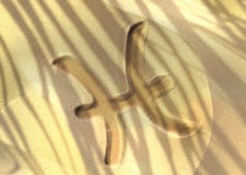Astrology symbol drawn on sand - Pisces stock illustration Astrology symbol drawn on sand - Pisces stock illustration