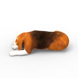 3d rendering of dog created by using a blender tool vector illustration 3d rendering of dog created by using a blender tool vector illustration