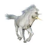 3D Rendering Fairy Tale White Unicorn on White Stock Photos 3D Rendering Fairy Tale White Unicorn on White Stock Photos