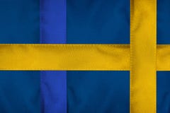 3D rendering idea for Far-Right Party gaining power in Sweden. vector illustration 3D rendering idea for Far-Right Party gaining power in Sweden. vector illustration