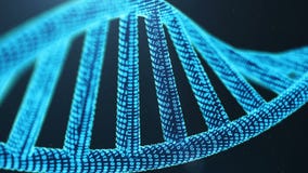 3D tourné a rendu la molécule d'ADN de Digital, structure Génome humain de code binaire de concept Molécule d'ADN avec les gènes illustration de vecteur 3D tourné a rendu la molécule d'ADN de Digital, structure Génome humain de code binaire de concept Molécule d'ADN avec les gènes illustration de vecteur