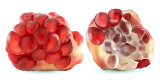 3d vector realistic pomegranate, tropical fruit set, isolated on white background. Set ripe pomegranate. Red ruby stock illustration 3d vector realistic pomegranate, tropical fruit set, isolated on white background. Set ripe pomegranate. Red ruby stock illustration