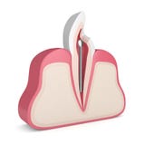 3d представляют зуба с зубоврачебным столбом нержавеющей стали иллюстрация штока 3d представляют зуба с зубоврачебным столбом нержавеющей стали иллюстрация штока