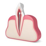 3d представляют зуба с зубоврачебным столбом нержавеющей стали иллюстрация вектора 3d представляют зуба с зубоврачебным столбом нержавеющей стали иллюстрация вектора