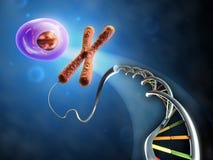 Da DNA alla cella royalty illustrazione gratis Da DNA alla cella royalty illustrazione gratis