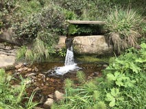 Da roccia l'acqua è venuto fotografia stock libera da diritti Da roccia l'acqua è venuto fotografia stock libera da diritti