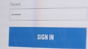 Dactylographie d'un mot de passe sur la page Web banque de vidéos Dactylographie d'un mot de passe sur la page Web banque de vidéos