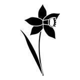 Daffodil flower leaf bloom pictogram royalty free illustration Daffodil flower leaf bloom pictogram royalty free illustration