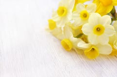 Daffodils весны желтые, цветки jonquil narcissus на белой таблице стоковая фотография rf Daffodils весны желтые, цветки jonquil narcissus на белой таблице стоковая фотография rf
