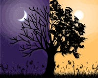 Dag en nacht violette boom vectorachtergrond vector illustratie Dag en nacht violette boom vectorachtergrond vector illustratie