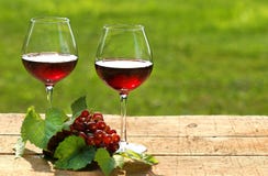 dagsommarwine royaltyfri bild dagsommarwine royaltyfri bild