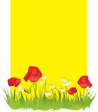 Daisies and poppies on a yellow background vector illustration Daisies and poppies on a yellow background vector illustration