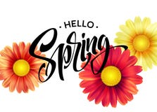 Daisy Flower Background et bonjour lettrage de ressort Illustration de vecteur illustration libre de droits Daisy Flower Background et bonjour lettrage de ressort Illustration de vecteur illustration libre de droits