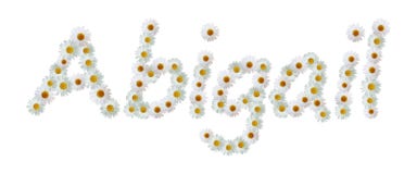 Abigail Flower Name stock illustration. Image of design - 85439504