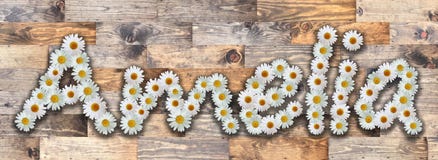 Daisy Name Amelia Wood Background illustration stock Daisy Name Amelia Wood Background illustration stock