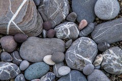 Dakspaankust, close-up, schoon strand, rotsen de Krim royalty-vrije stock fotografie Dakspaankust, close-up, schoon strand, rotsen de Krim royalty-vrije stock fotografie